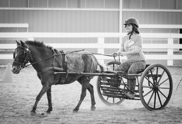 Sprout Center Therapeutic Riding and Education Center