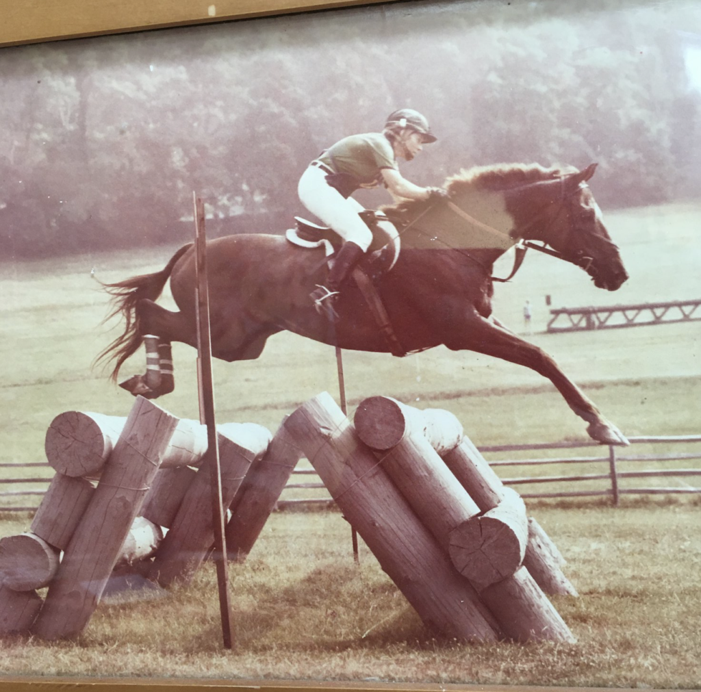 Lunging 3 Foot Pair of Horse Jump Wings Equestrian Schooling 